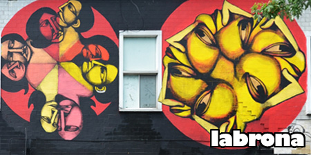 Spotlight on Labrona