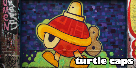 Spotlight on Turtle Caps