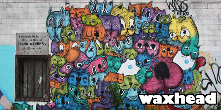 Spotlight on Waxhead